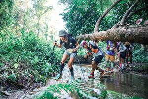 BIB: 
                            <button type="button" onclick="openModal(25444517)" class="btn btn-primary btn-sm float-right btn-popup" data-toggle="modal" data-target=".modal-high-quality">
                        <i class="fas fa-shopping-cart"></i> Add to Cart
                    </button>
                                            <button type="button" onclick="isThisMe(25444517, true)" class="btn btn-success btn-sm float-right btn-popup btn-isme hidden" data-toggle="tooltip" data-placement="bottom" title="นี่คือรูปของคุณใช่ไหม คลิกที่นี่เพื่อเอาเข้าอัลบั้ม">
                        <i class="fas fa-plus"></i> Add to album
                    </button>
                    <button type="button" onclick="isThisMe(25444517, false)" class="btn btn-warning btn-sm float-right btn-popup btn-isnotme hidden">
                        <i class="fas fa-ban"></i> Remove from album
                    </button>